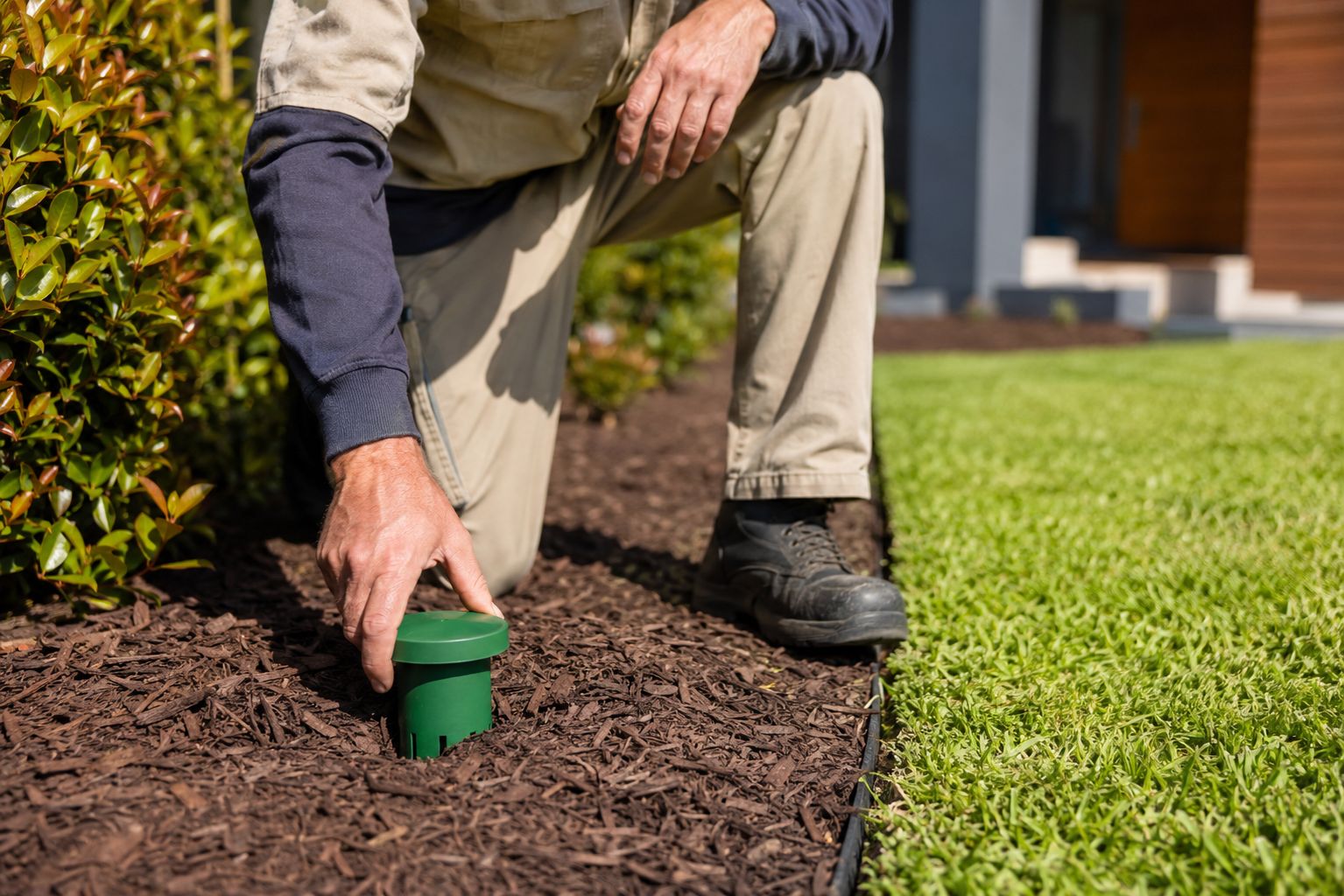 Termite treatment Ipswich